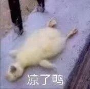 李宇春作曲的無價之姐被訴抄襲 原告索賠200萬