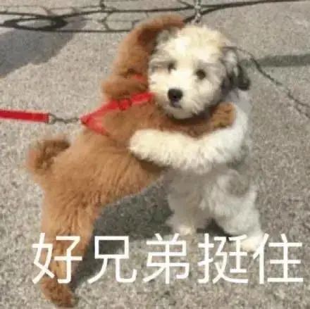 魏晨曬腹肌照鼓勵大家自律 現在連男明星都開始內卷了