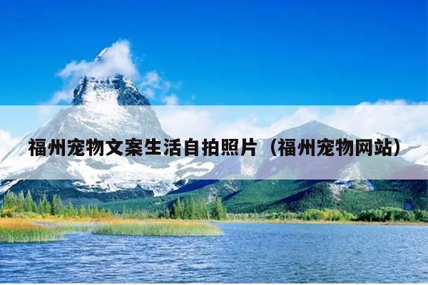 福州寵物文案生活自拍照片（福州寵物網站）