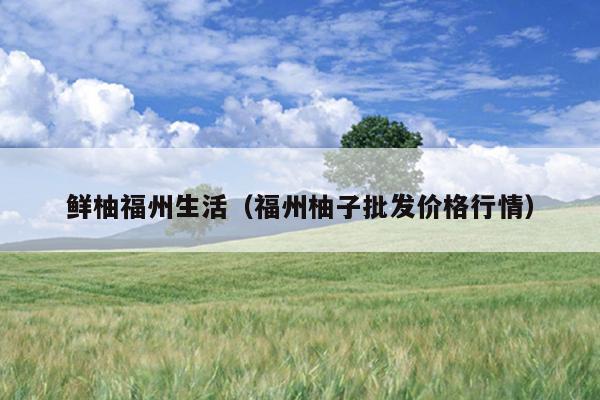 鮮柚福州生活（福州柚子批發價格行情）