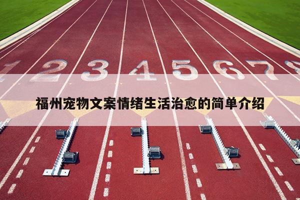 福州寵物文案情緒生活治愈的簡單介紹