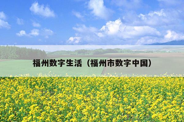 福州數字生活（福州市數字中國）