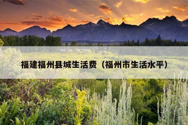 福建福州縣城生活費（福州市生活水平）